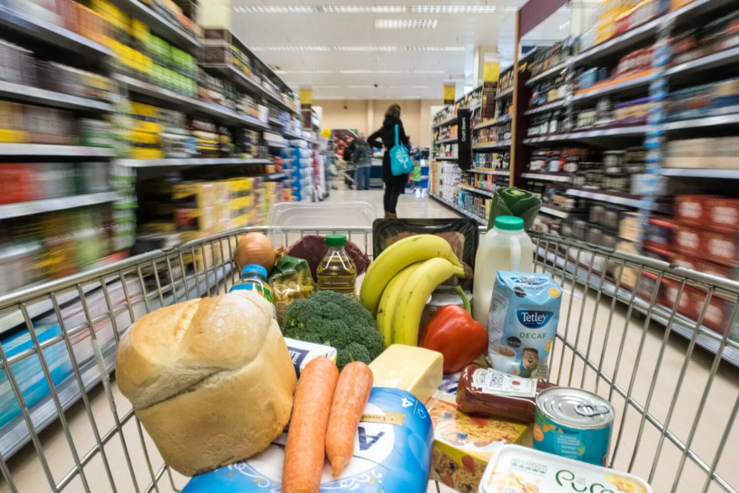 dedetização para supermercados dedetização para supermercados