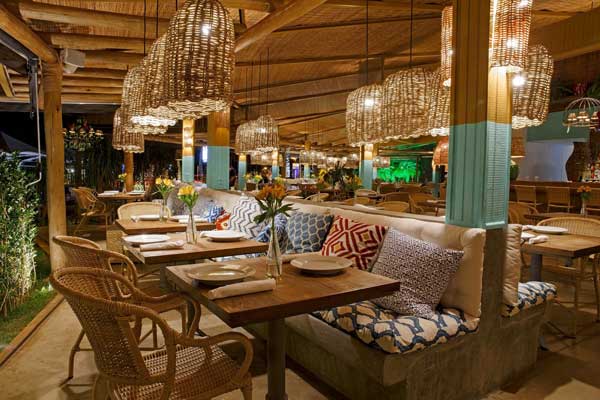 Dedetização em bares e restaurantes Dedetização em bares e restaurantes