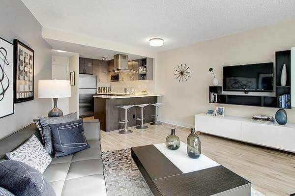 Dedetização de apartamentos Dedetização de apartamentos